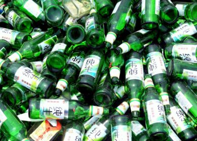 Lixo Orgânico: O Que É, Exemplos e Como Descartar