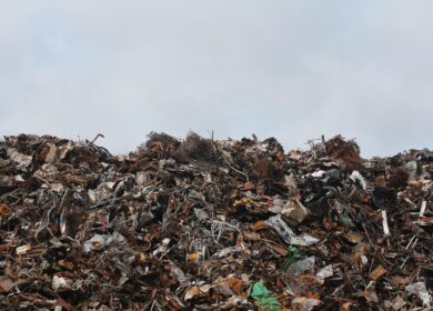 Lixo Zero Multa: consulta, pagar