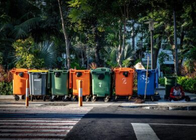 Qual a diferença entre PGR e PGRs?