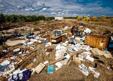 Lixo Orgânico e Lixo Reciclável: Entenda as Diferenças na Prática