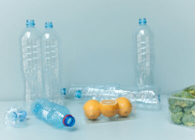 Ideias Criativas: Como Fazer Objetos Incríveis com Lixo Reciclável