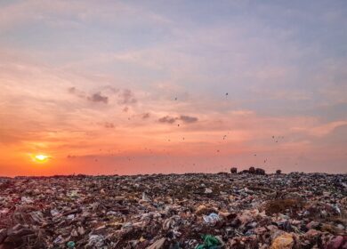 Aterros Sanitários: Como Funcionam e Qual Seu Papel Ambiental
