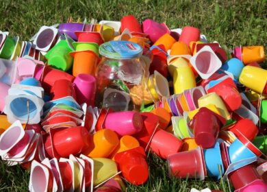 Reciclagem do Plástico: Como Funciona e Quais Tipos São Aceitos